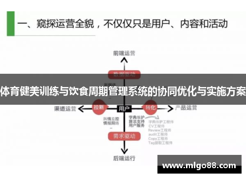 体育健美训练与饮食周期管理系统的协同优化与实施方案