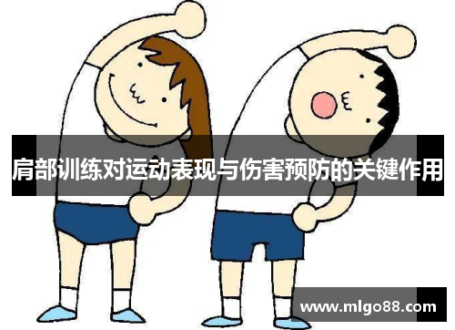 肩部训练对运动表现与伤害预防的关键作用